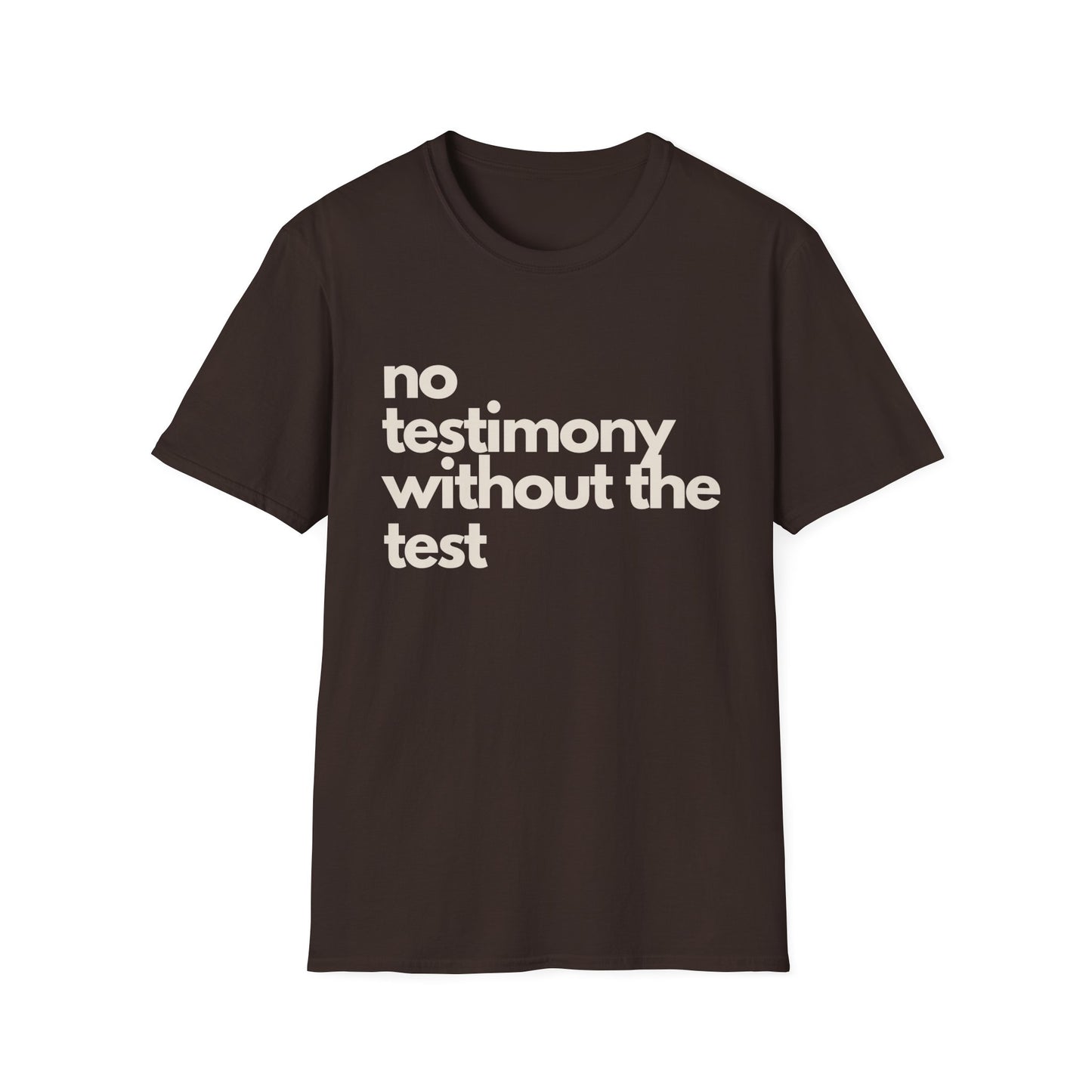 no testimony